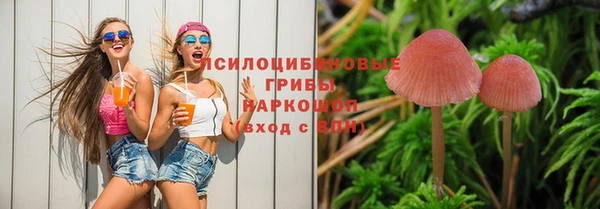 каннабис Каменногорск