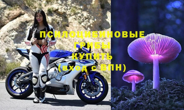 мет Каменка