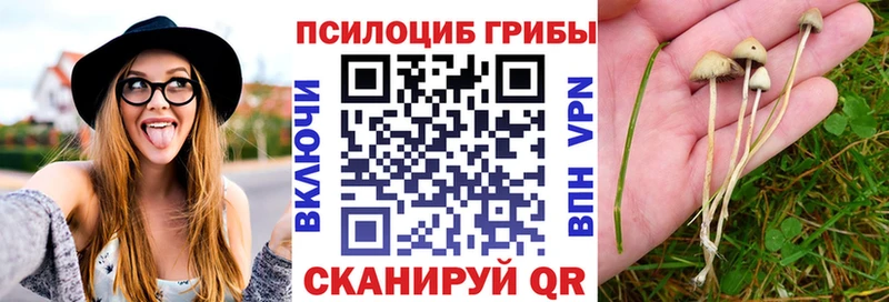 Псилоцибиновые грибы Psilocybine cubensis  Купить закладки  Очёр 
